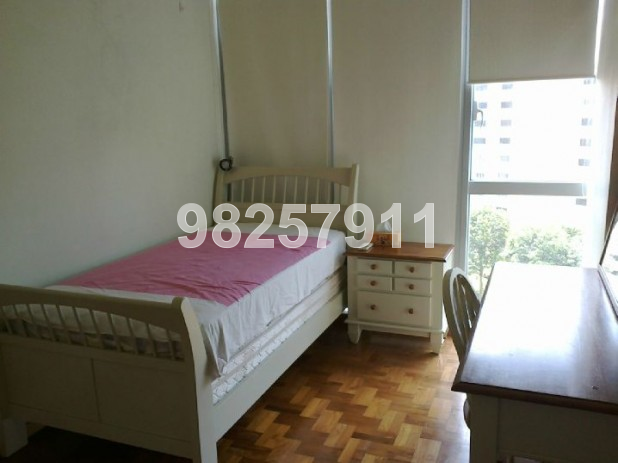Hillview Regency (D23), Condominium #162964872